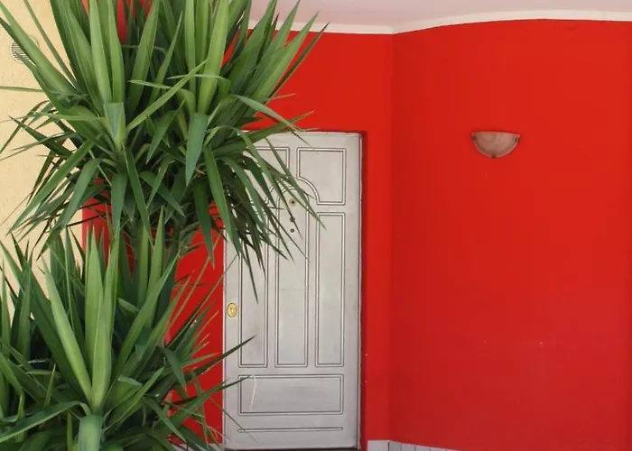 Bed & Breakfast Paradiso 3*